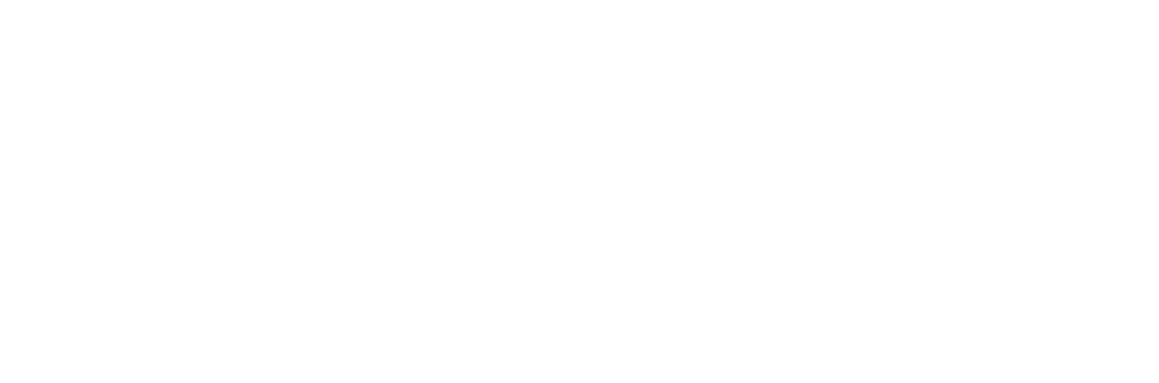 Amira Saadi Photographe