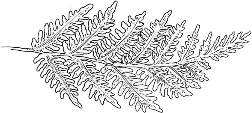 Aurélie Lamour - Photographe