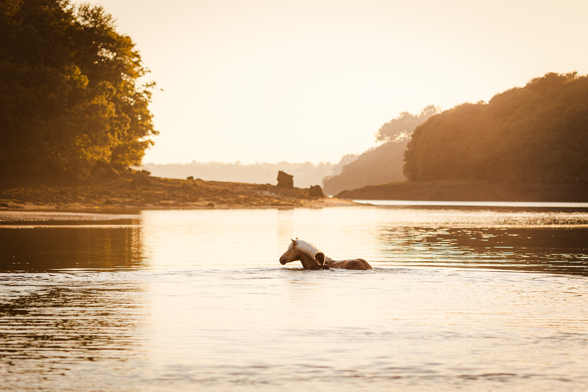Léa Mains Photographie