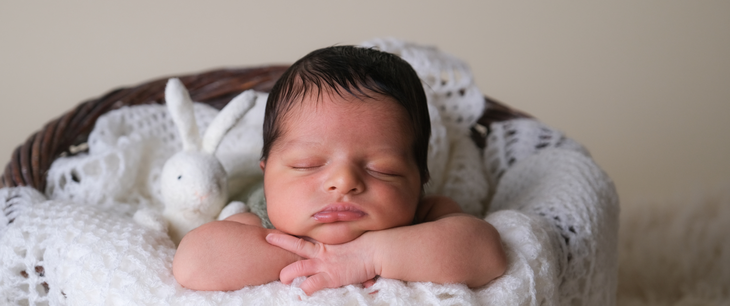 LM Photographies photographe