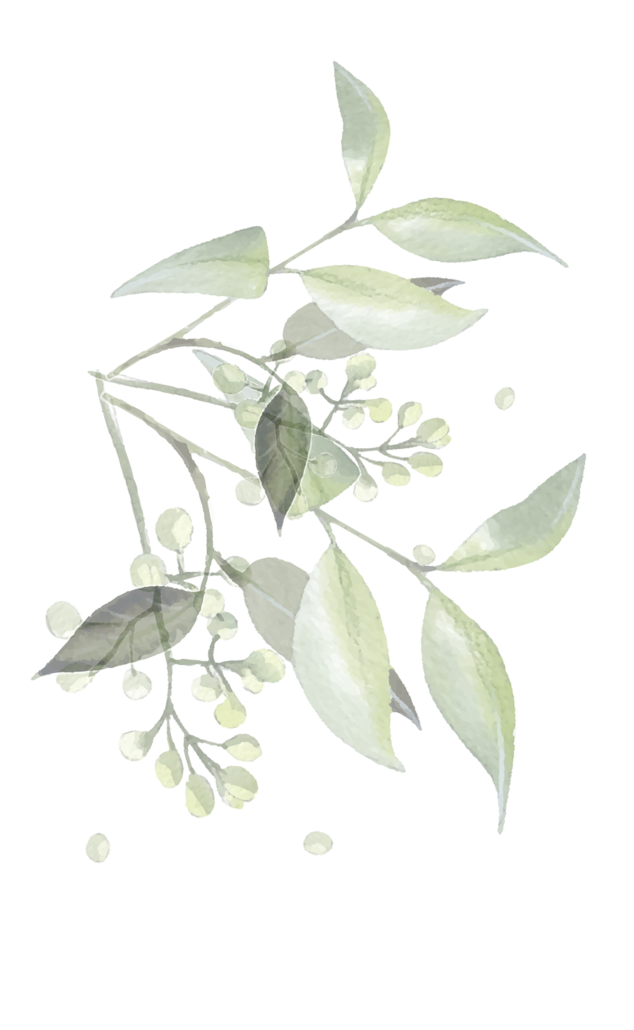 Ludivine Rambaud Photographe