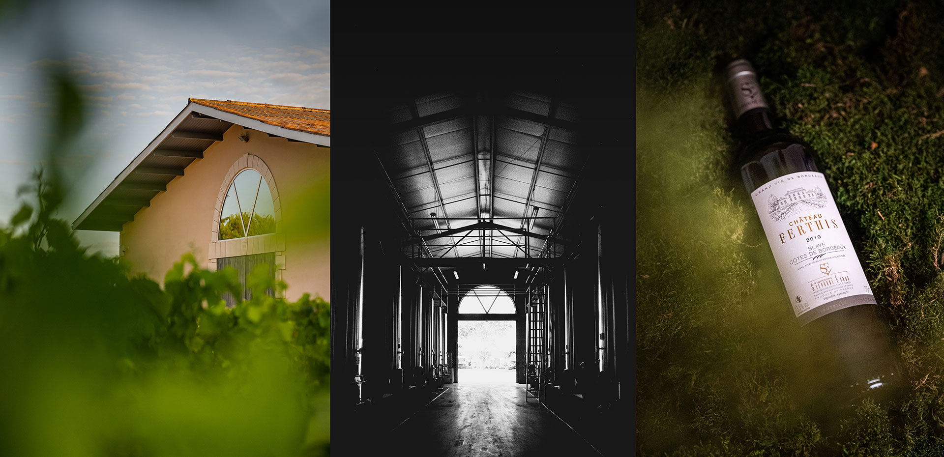 Marion Bertin Photographe