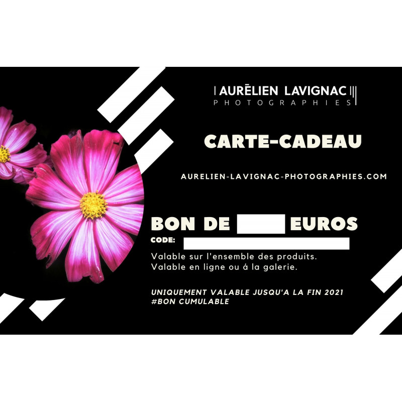 Stages et Cours Photo Bordeaux Arcachon et Ferret Lacanau Medoc - Paysage - Astro Etoiles - Animalier - Photographe Mariage