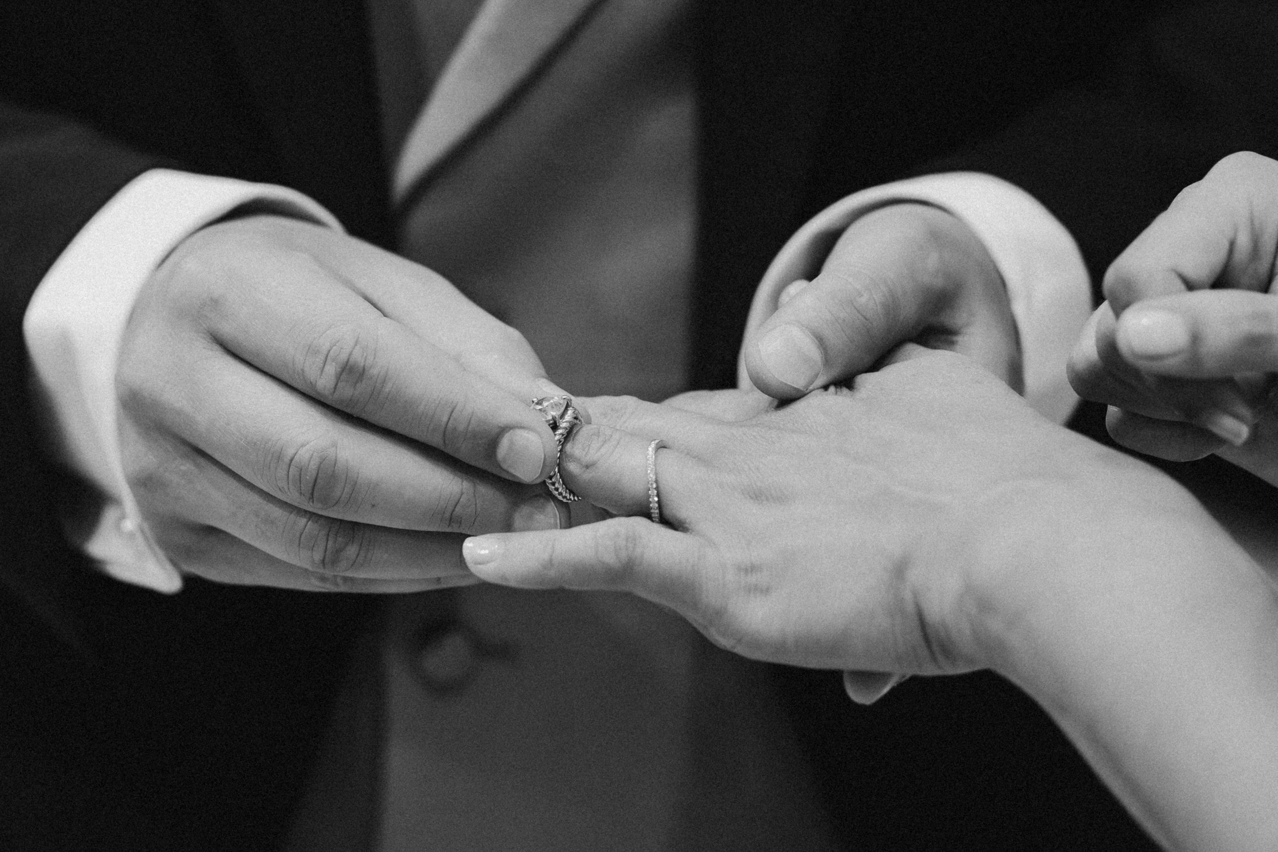 Vanessa Lauria Photographe